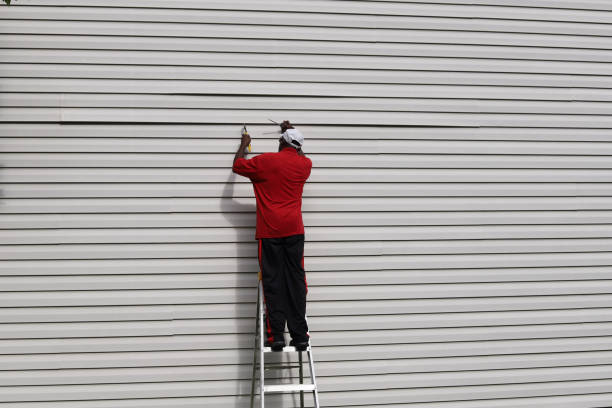 Best Engineered Wood Siding  in Sissonville, WV